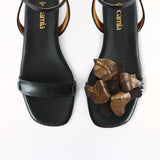 Brown Black Front