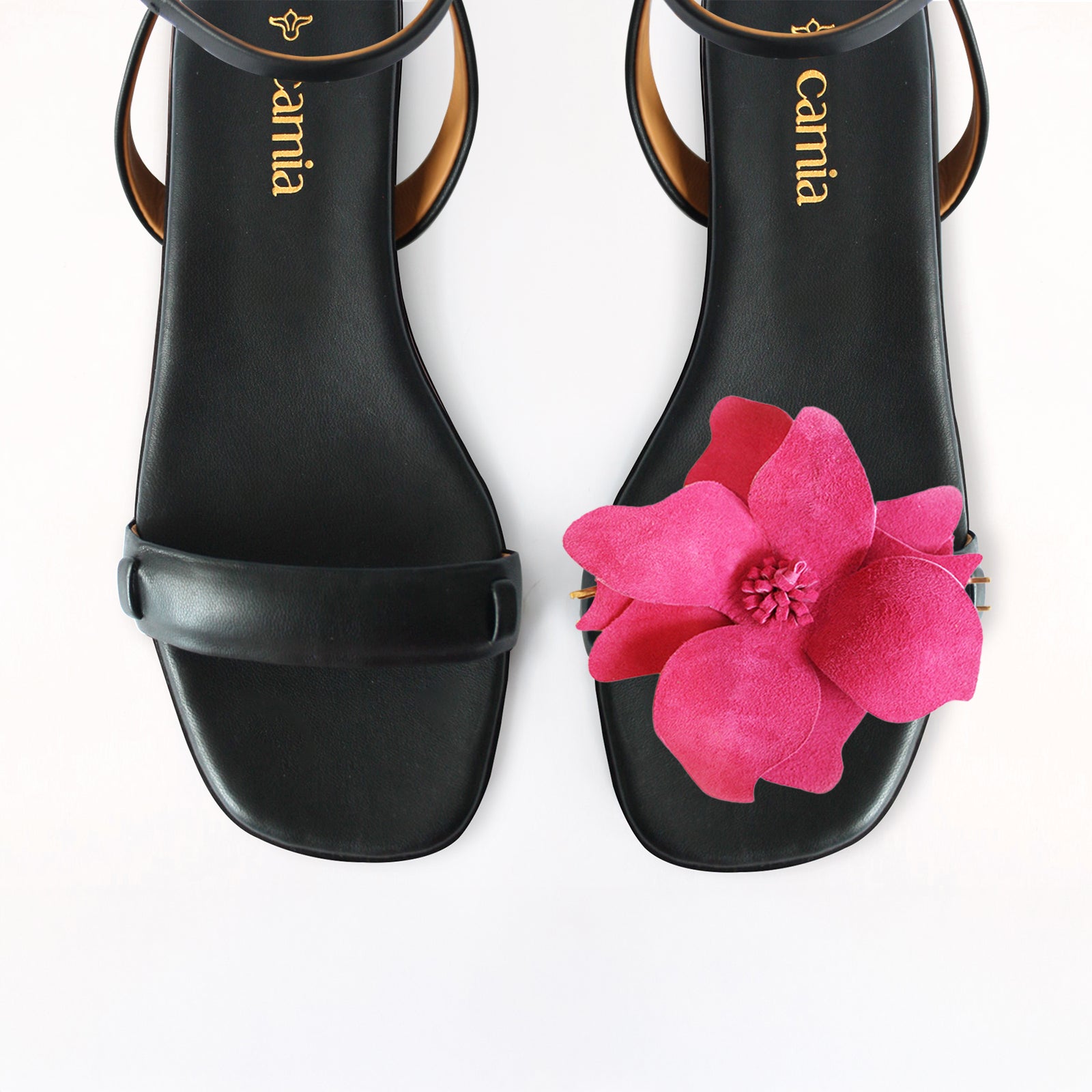 Framboise Black Front