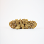 Women's Strap Sandles