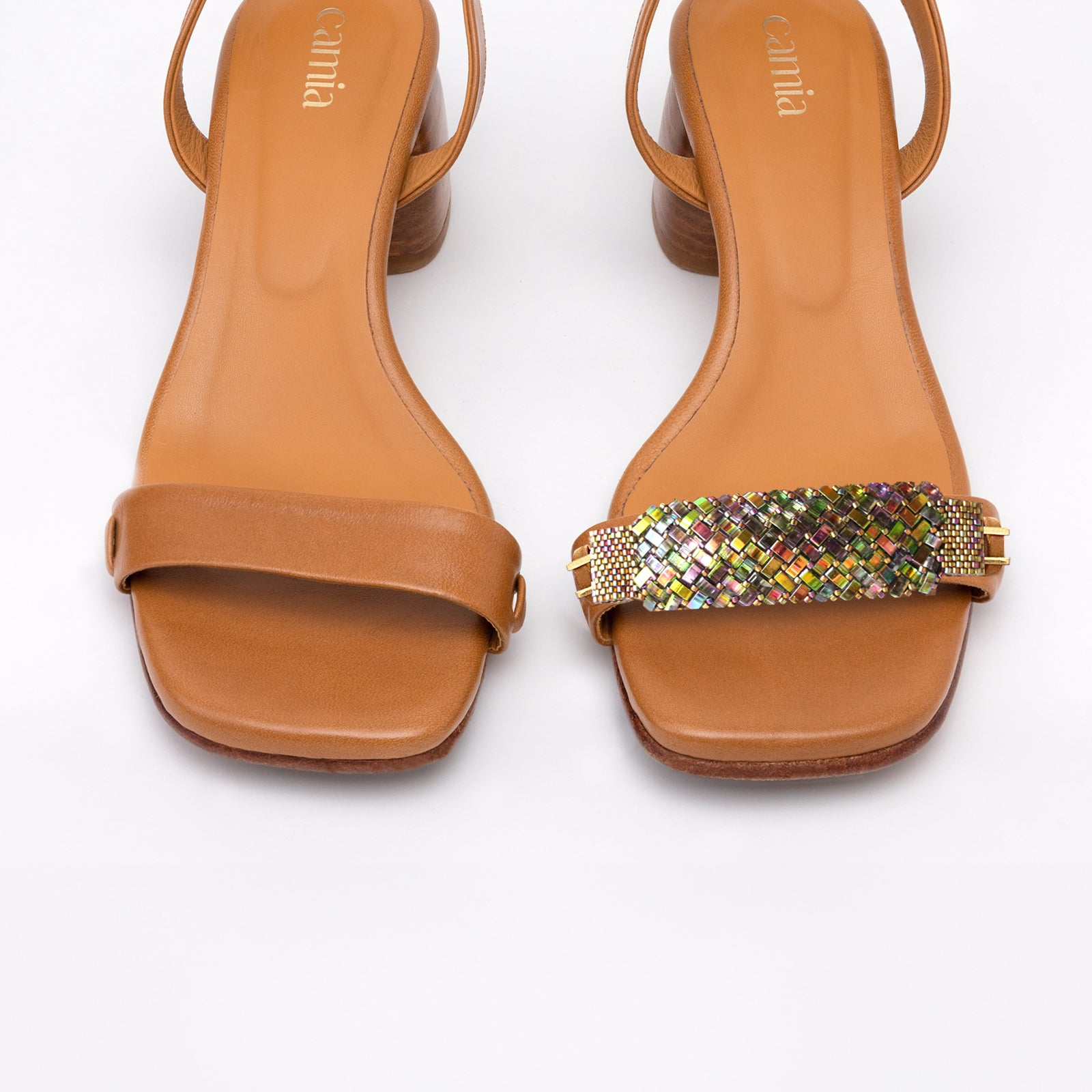 Aqua Camel Front