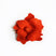 Scarlet Camia's Interchangeable Flower Strap