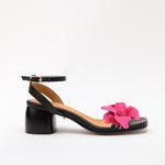 Framboise Black