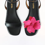 Framboise Black Front