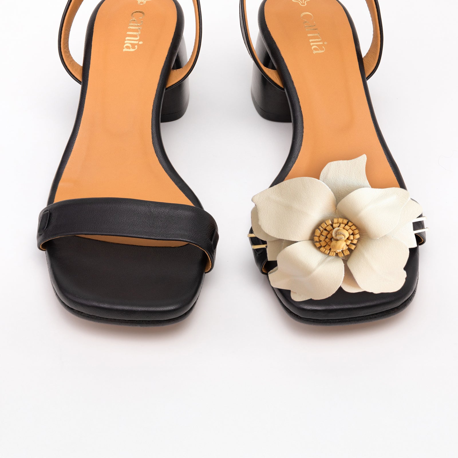 Margarita Camia′s Flower Black