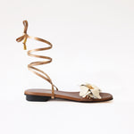 Margarita Gladiator Rose - Camel