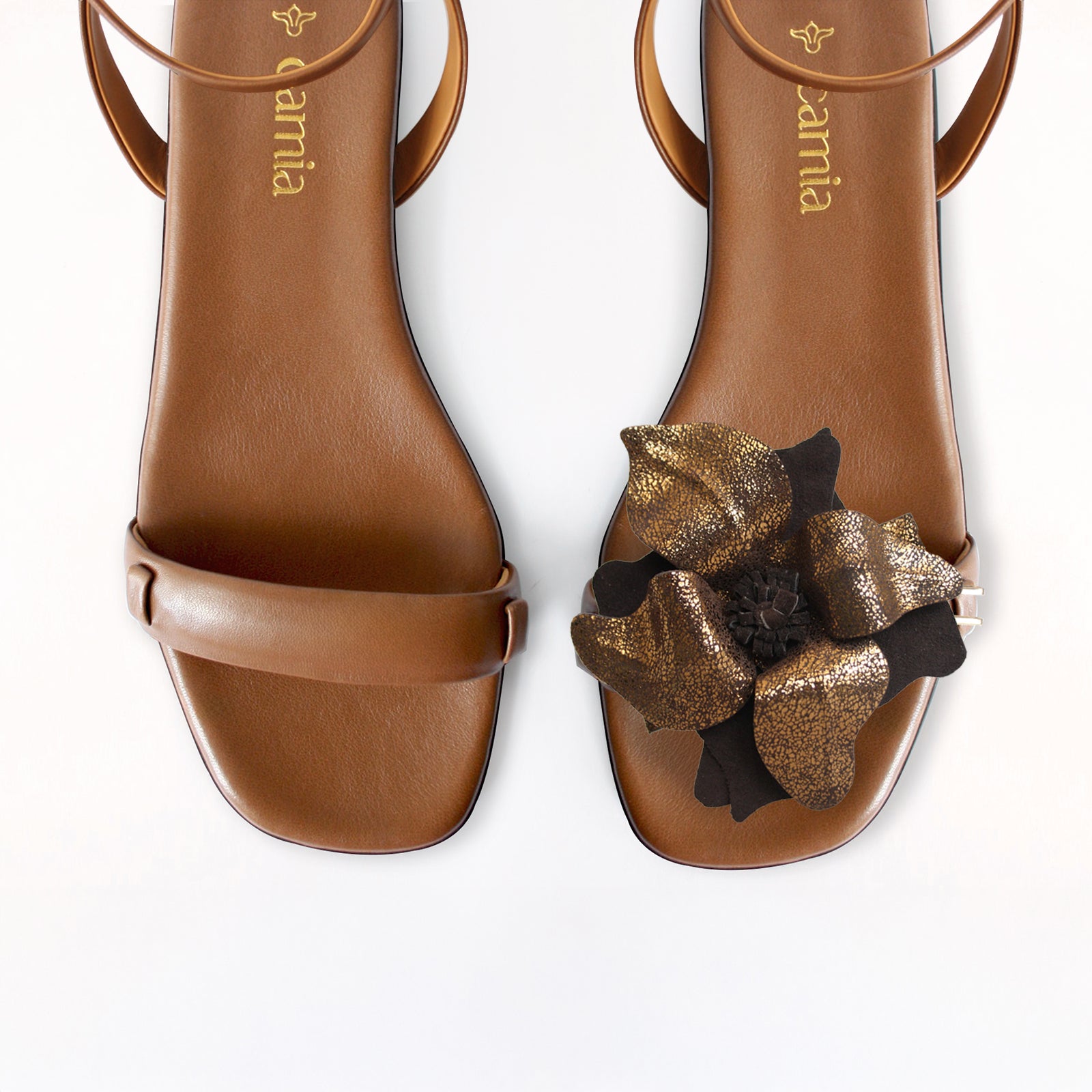 Brown Camel Front
