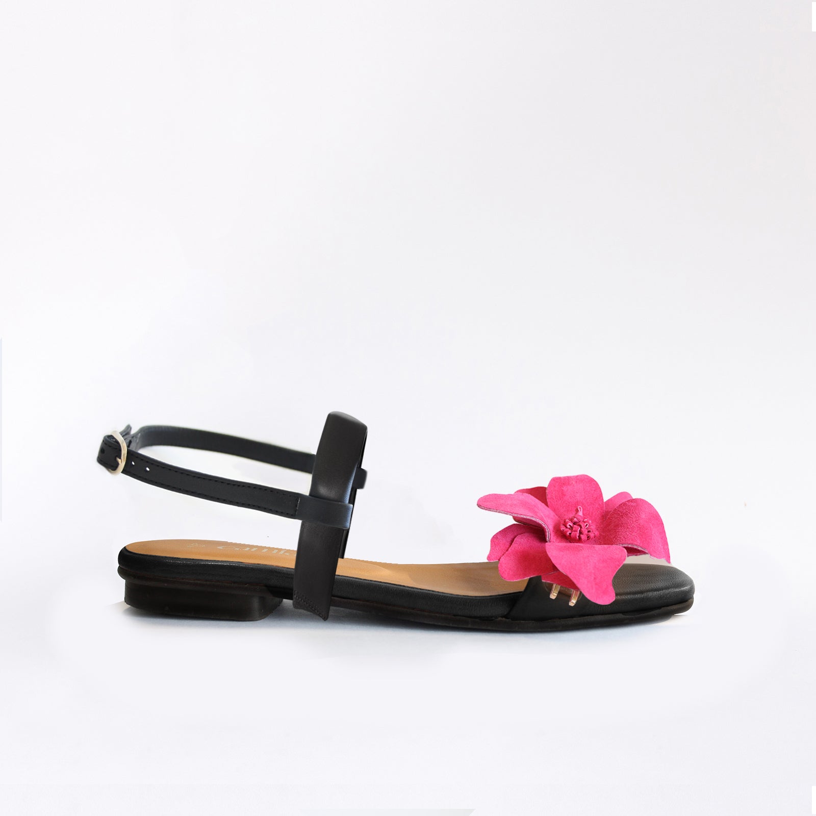 Middle Horse Black Framboise Black