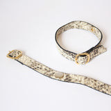 Snake Fivela Ivory